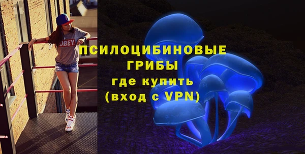 твердый Балахна